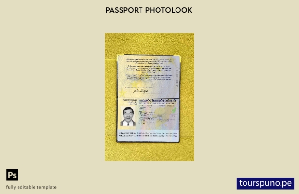 Plantilla de aspecto fotográfico de pasaporte de Ilia lista para imprimir
